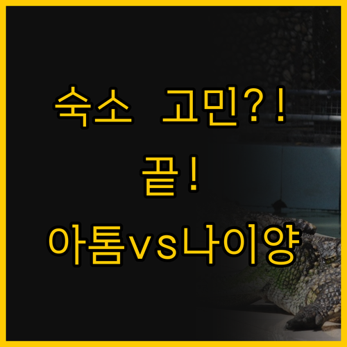 푸켓 공항 숙소 선택 고민 끝 아톰푸..