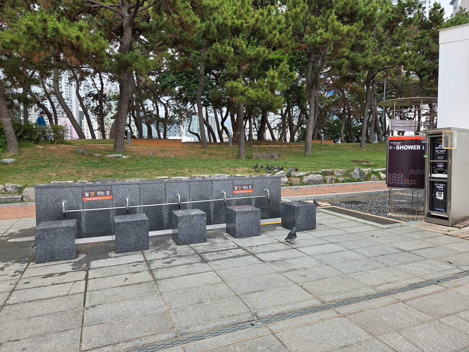 3호 세족장