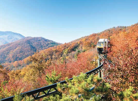 기초수급자 자격 요건&amp;#44; 신청 방법