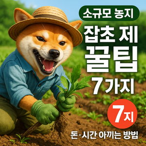 소규모 농지 잡초 제거 꿀팁 7가지 (돈&middot;시간 아끼는 방법)