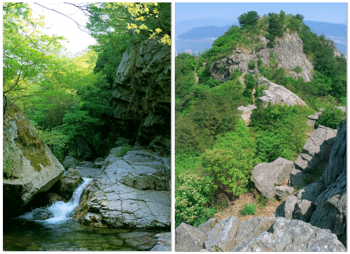 유명산 과 무학산 소개 사진