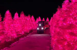 허브아일랜드_불빛동화축제