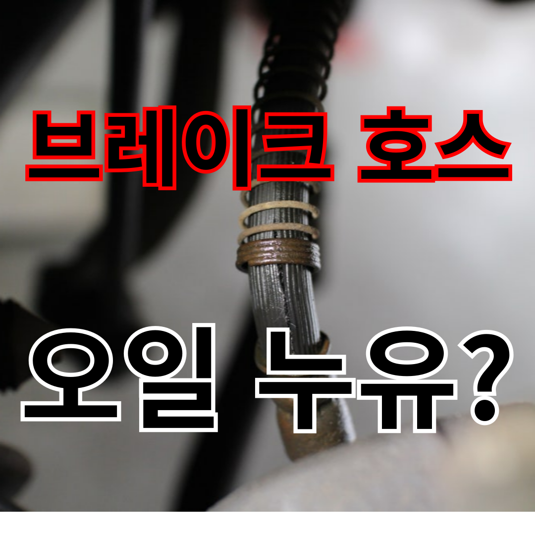 브레이크 호스 누유