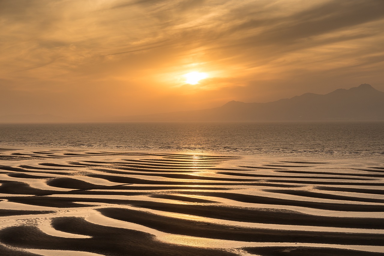 순천만 탐조&생물관찰