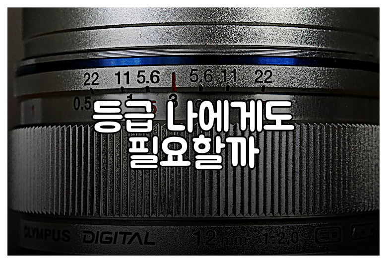 등급 나에게도 필요할까