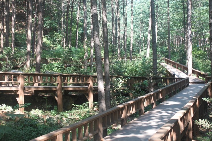 산음 자연휴양림