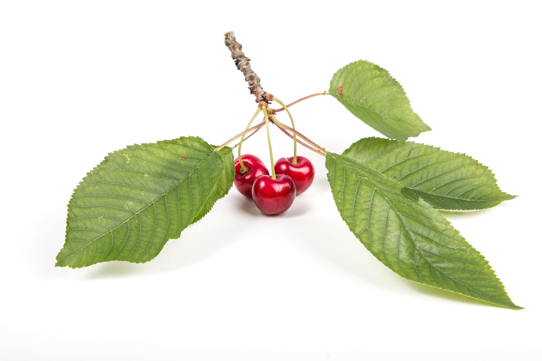 Cherry