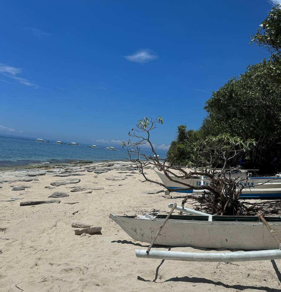 동남아 스노클링 최고 명소 (팔라완, 시밀란제도, 푸꾸옥)