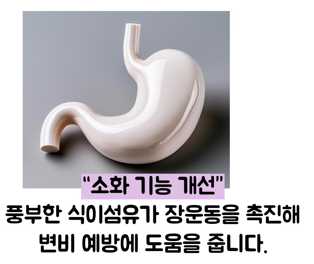 블루베리 효능