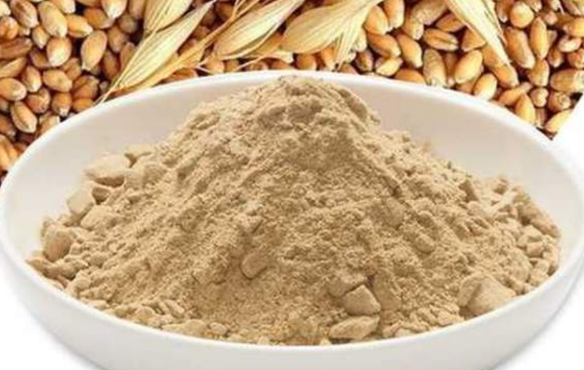 맥주효모 제품-탈모 예방