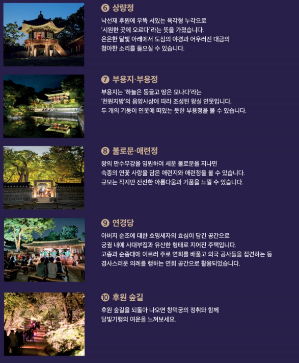 서울 고궁 야간개장