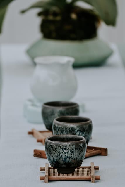 차의 항균 효과와 구강 건강 연구