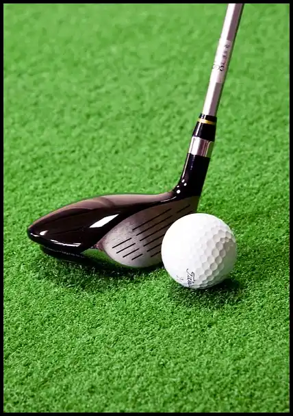 파크골프 용어 정리 (+ 해설 )