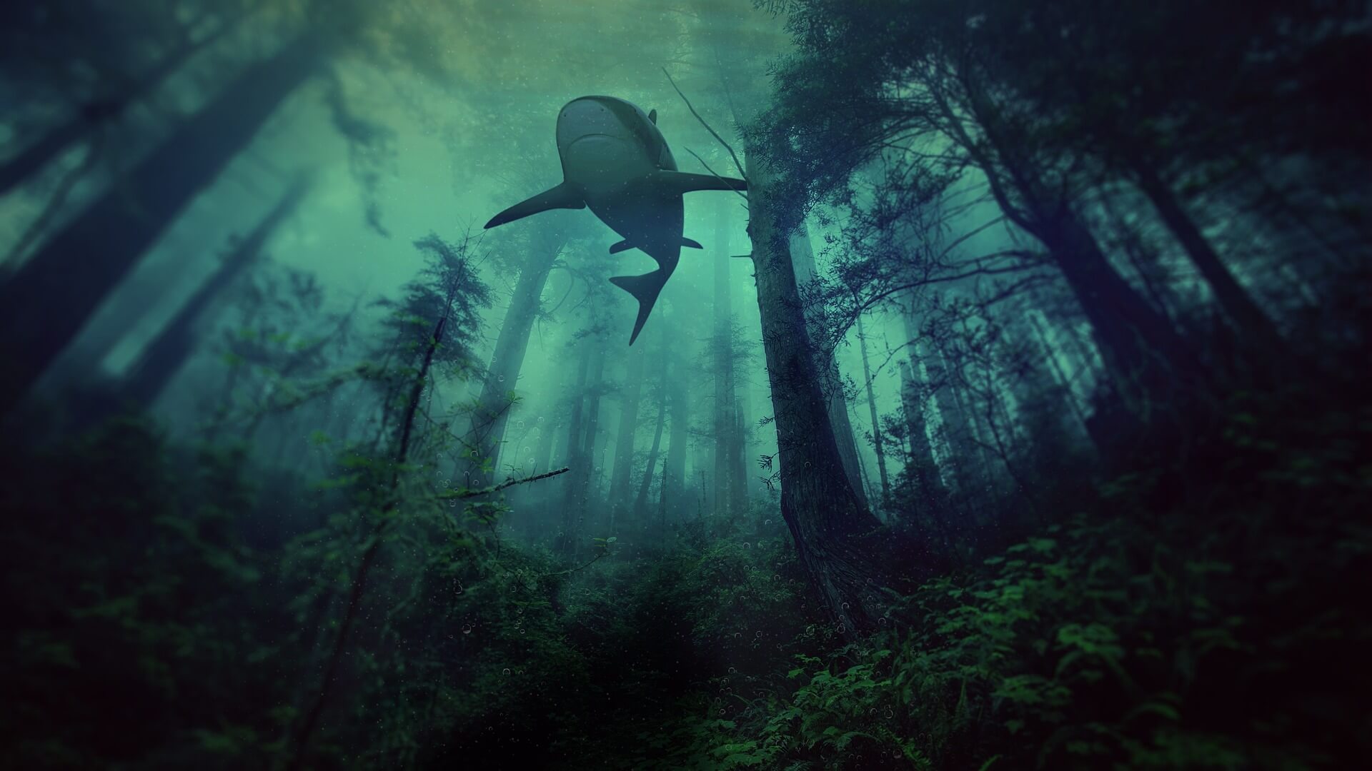 상어 꿈 해몽 총정리 🦈 상황별 의미와 해석