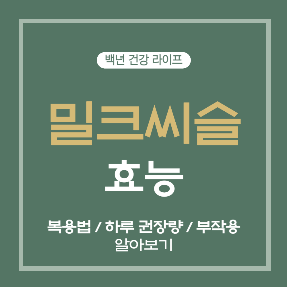 밀크씨슬 효능, 복용법 및 하루 권장량, 부작용