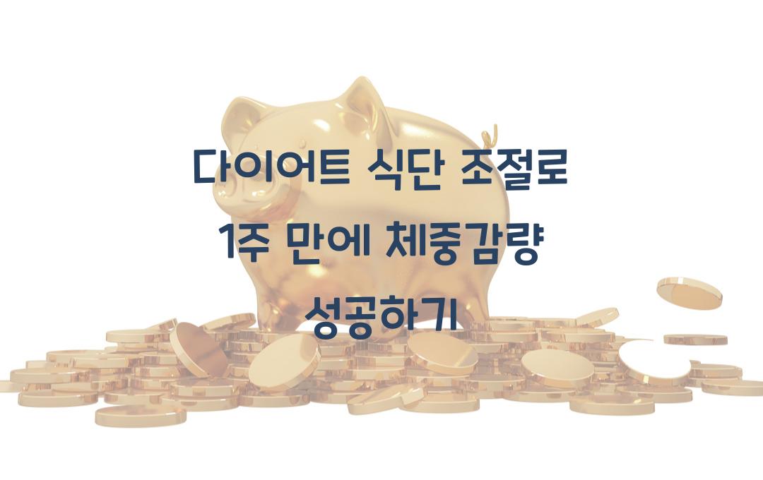 다이어트 식단 조절