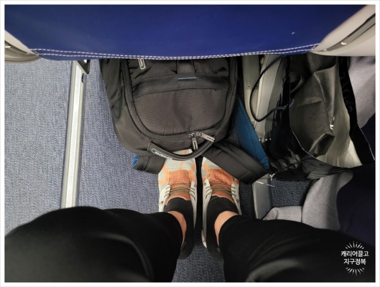 뉴웍으로 가는 에어 프레미아 후기