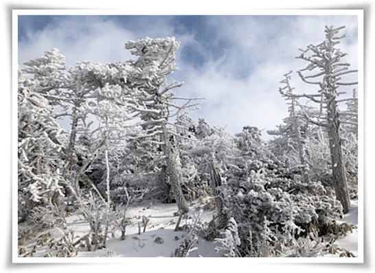 한라산 설경