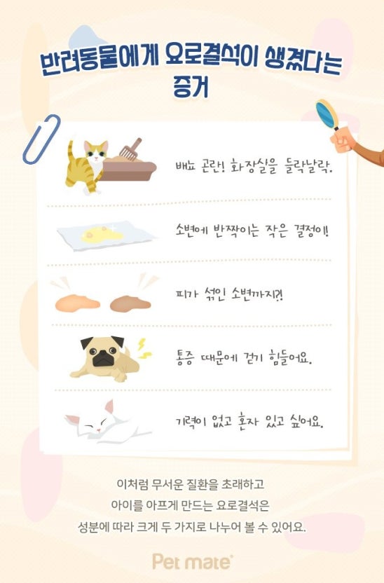고양이 요로결석 이미지