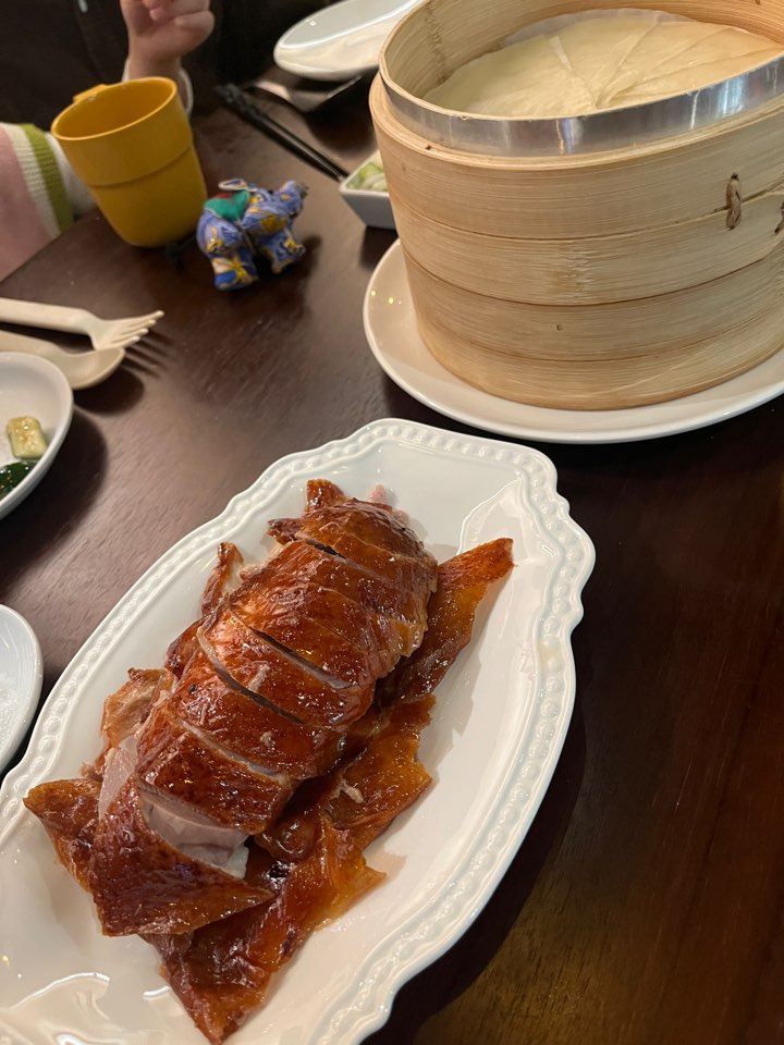 오리5
