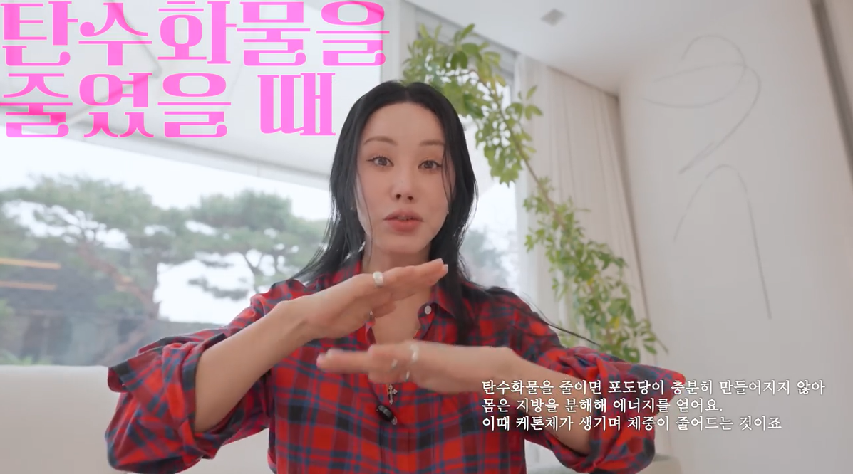 엄정화의 저탄고지 설명