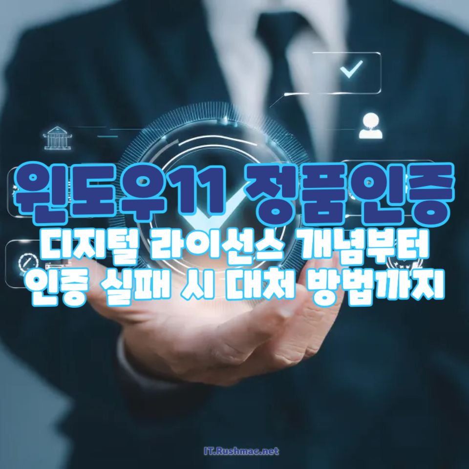 윈도우11 정품인증