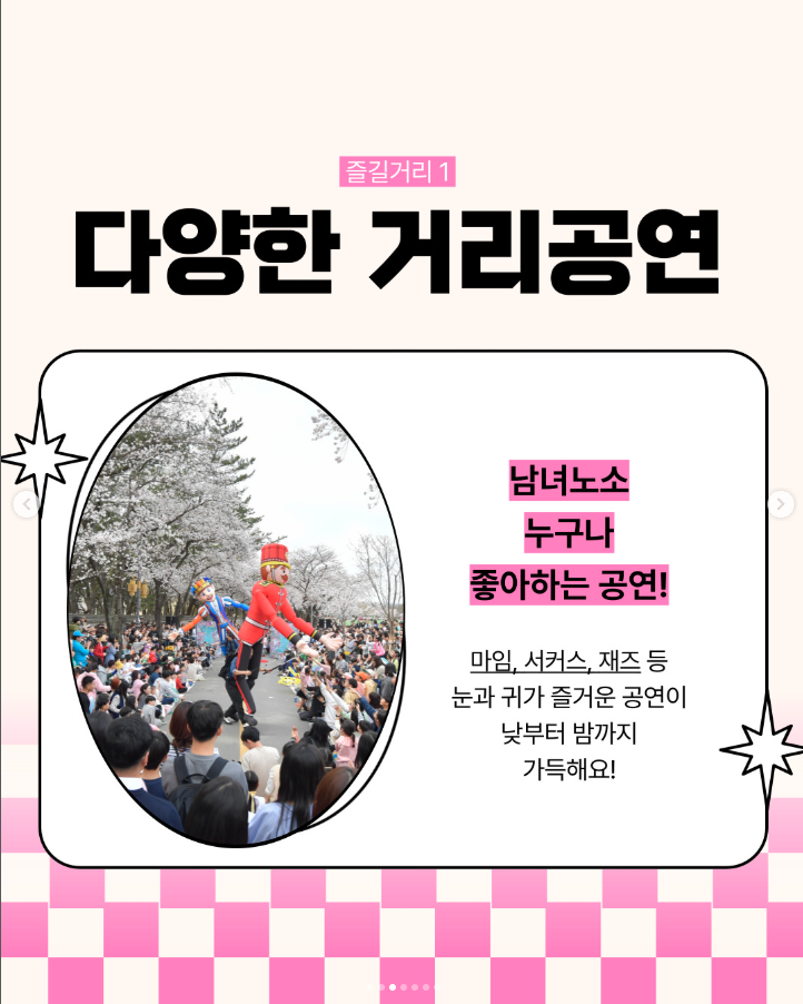 경주 벚꽃 축제