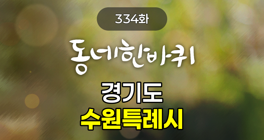 KBS 동네한바퀴 경기도 수원특례시 334화 2025년 8월 30일 맛집 식당 업체 촬영장소 촬영지 정보, 수원 화성과 화성어차, 청년 사장 정호 씨의 퓨전 요리, 인형극 부부의 열정, 할머니들의 특별한 사랑방, 남수동 공방, 55년 전통 가마솥 통닭집, 수원 도심 속 중국식 정원, 월화원, 할머니의 유산, 옛날 토스트, 해질녘 수원의 아름다움, 용연과 방화수류정, 장안문, 몽상가옥 – UFO 웰링턴, 흥원솜틀집