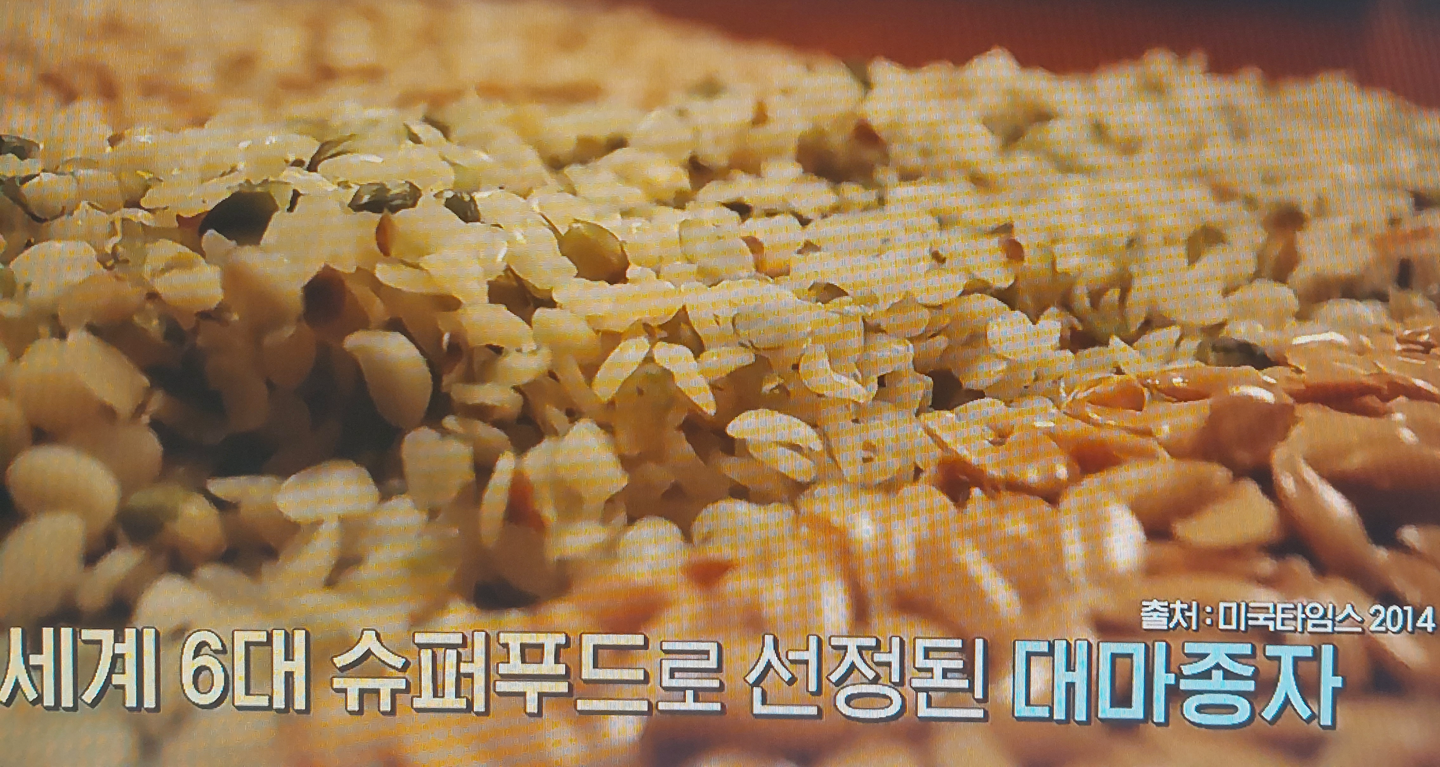 대마종자유 효능