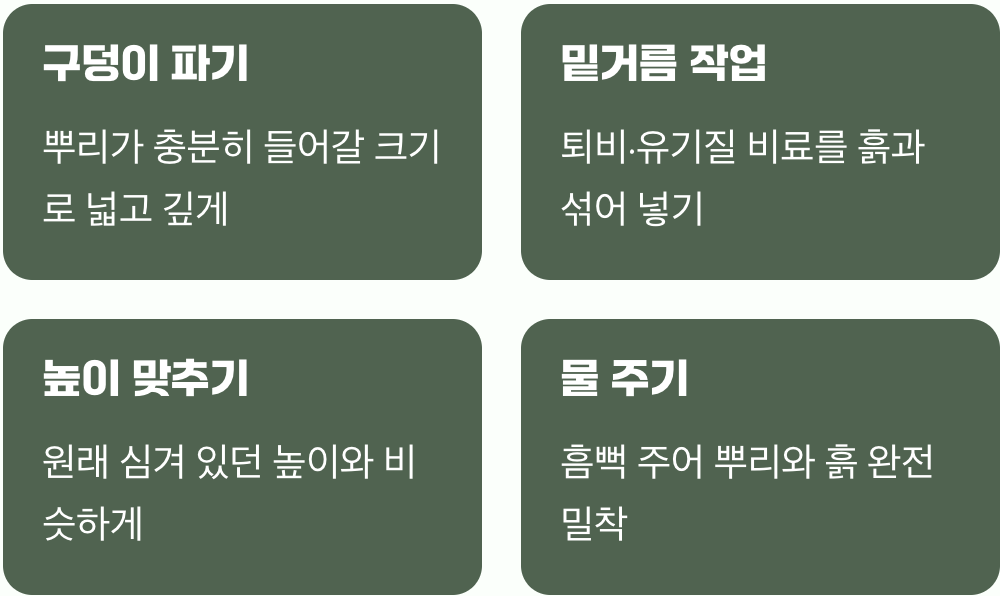 시기보다 중요한, 올바르게 심는 방법