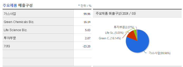 SK디스커버리_주요제품