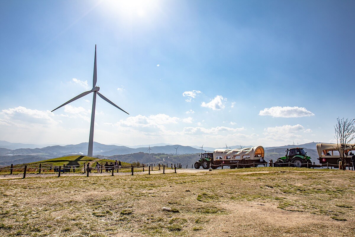 대관령 하늘목장 체험 정보