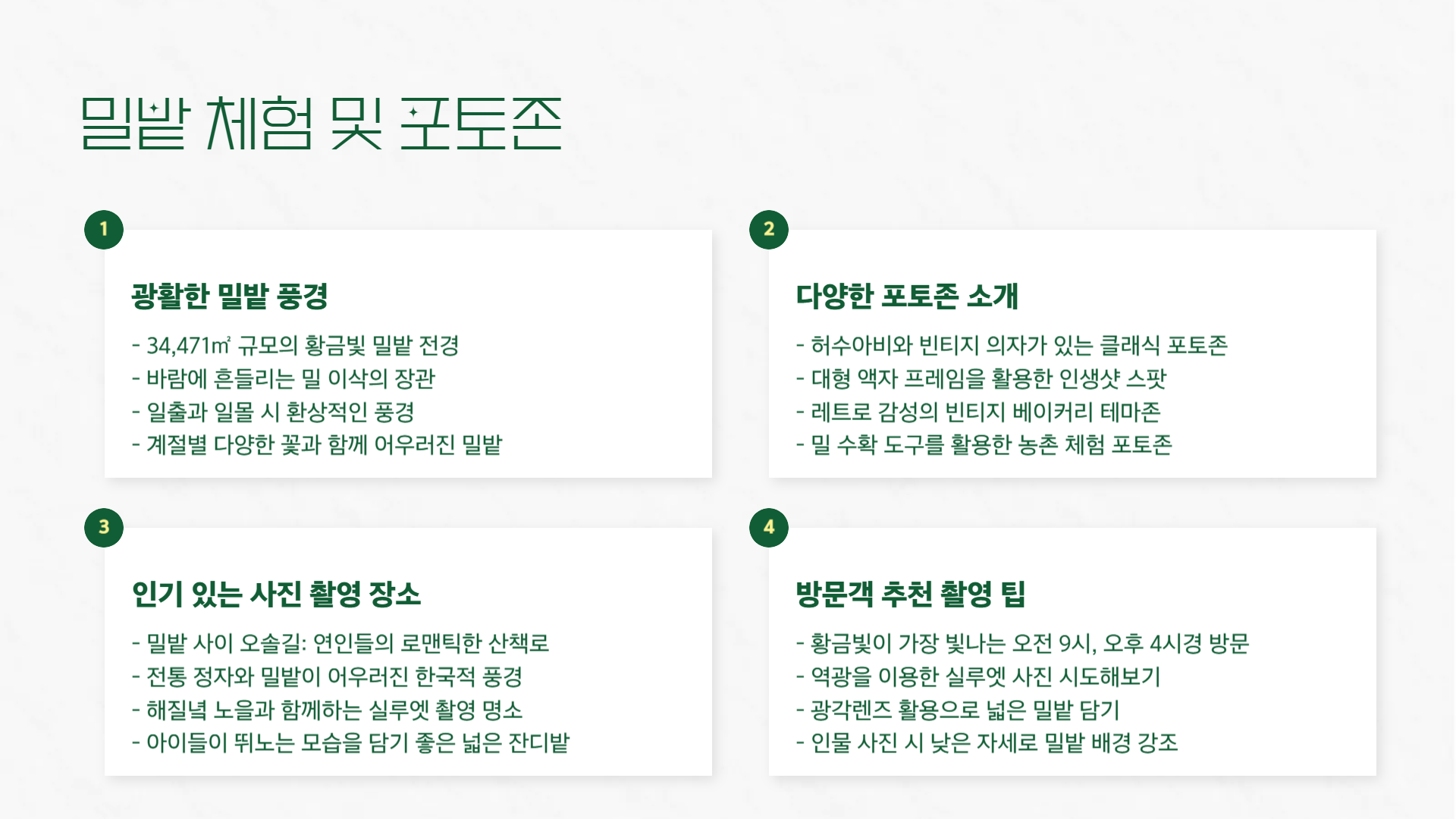 2025 양평 밀축제