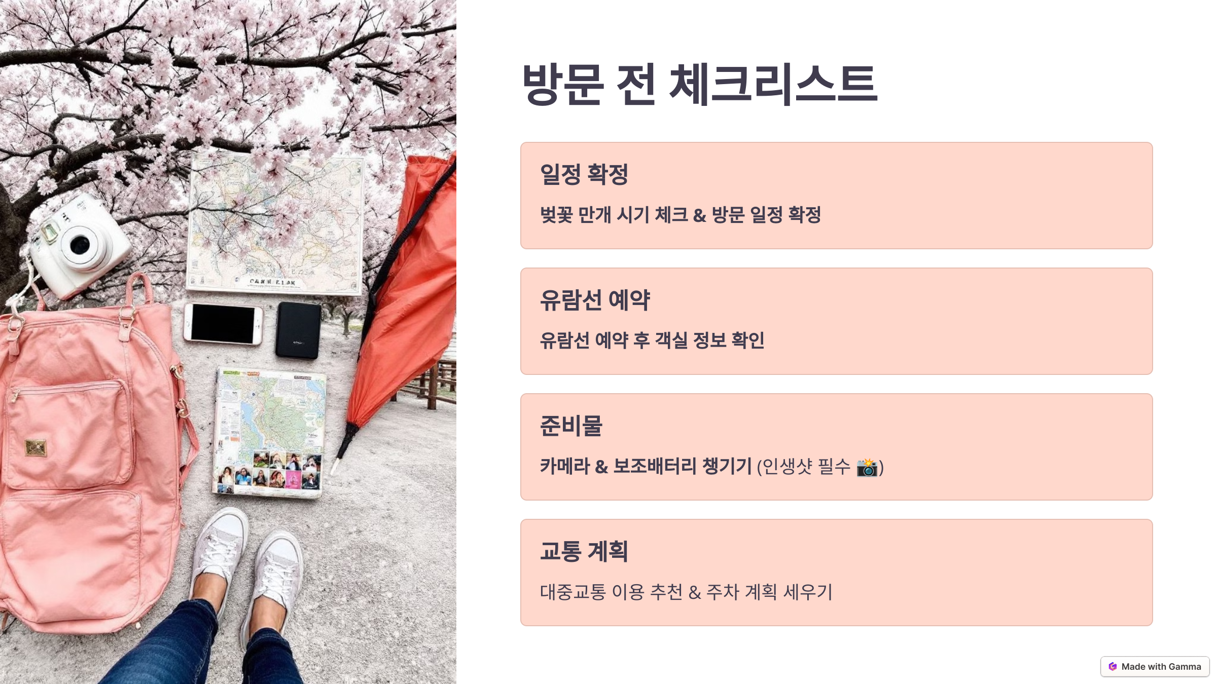 진해 군항제 방문 전 체크 리스트