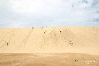 일본 돗토리 여행코스 3박 4일 일정 및 필수 관광지 추천_16