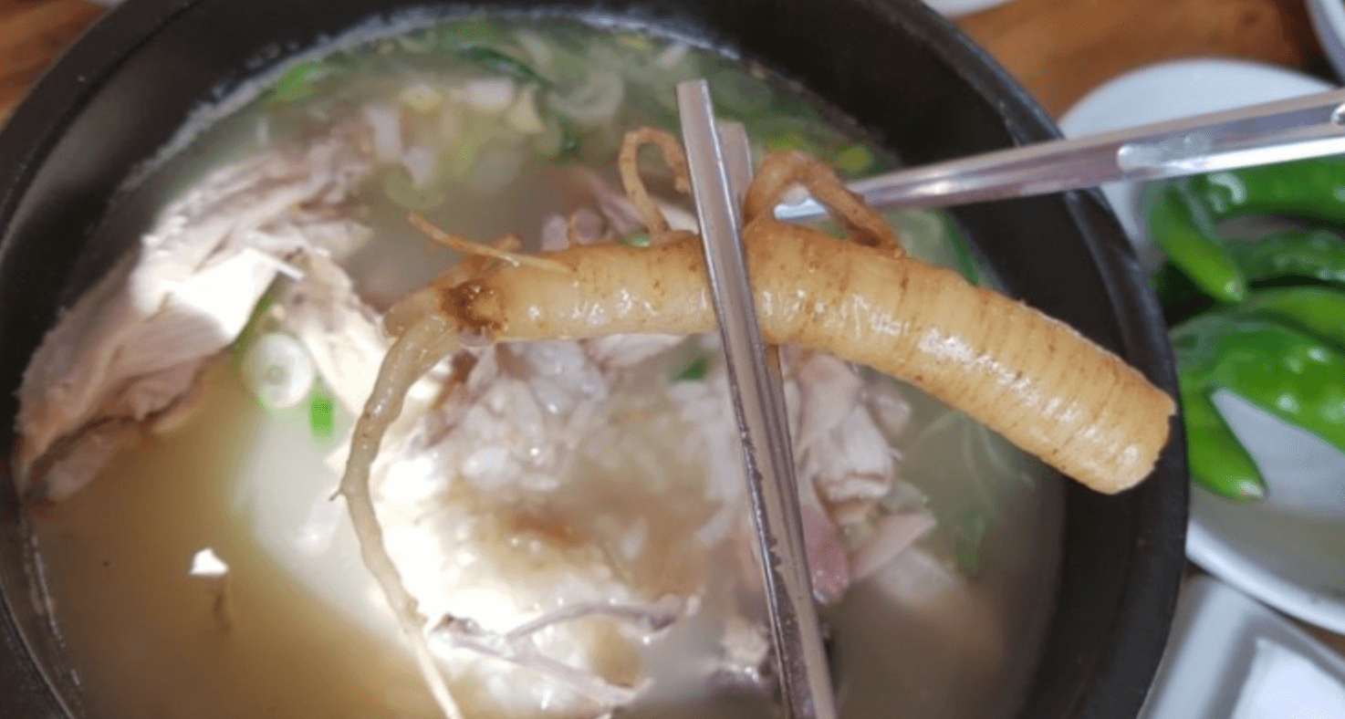 백숙-인삼