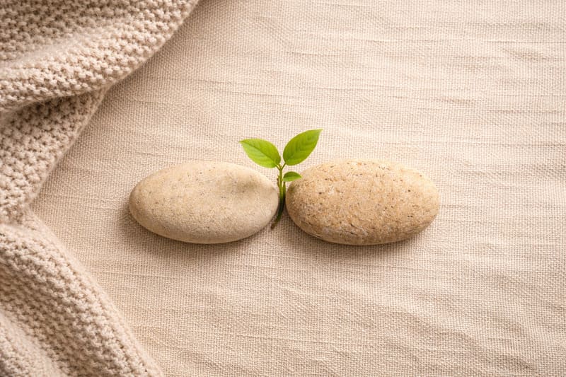 따뜻한 베이지색 편물 배경 위에 놓인 두 개의 조약돌과 그 사이에서 자라나는 초록색 새싹, 청년 정책 지원과 세대 간의 연결을 상징하는 미니멀한 사진