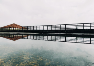 1호 태풍 우딥 이동경로 국내영향