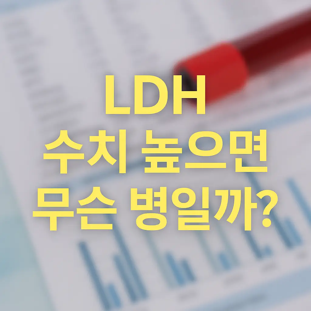 LDH 수치