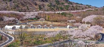 진주 가볼만한 곳 베스트 10