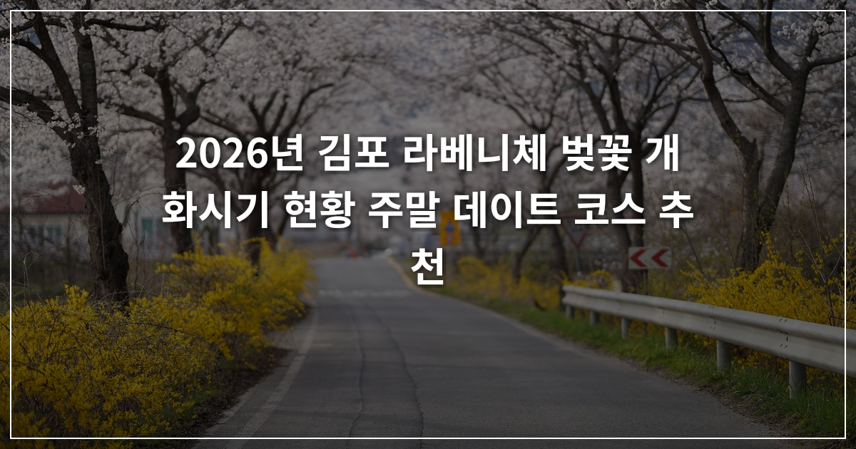 김포 라베니체 벚꽃 개화시기 현황 주말 데이트 코스 추천