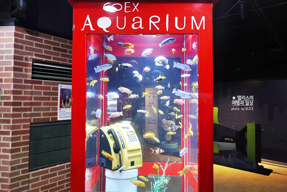 코엑스 아쿠아리움 입장권 할인예약 방법, 대중교통 가는 방법, 참물범 펭귄 비버 상어 보러가자!