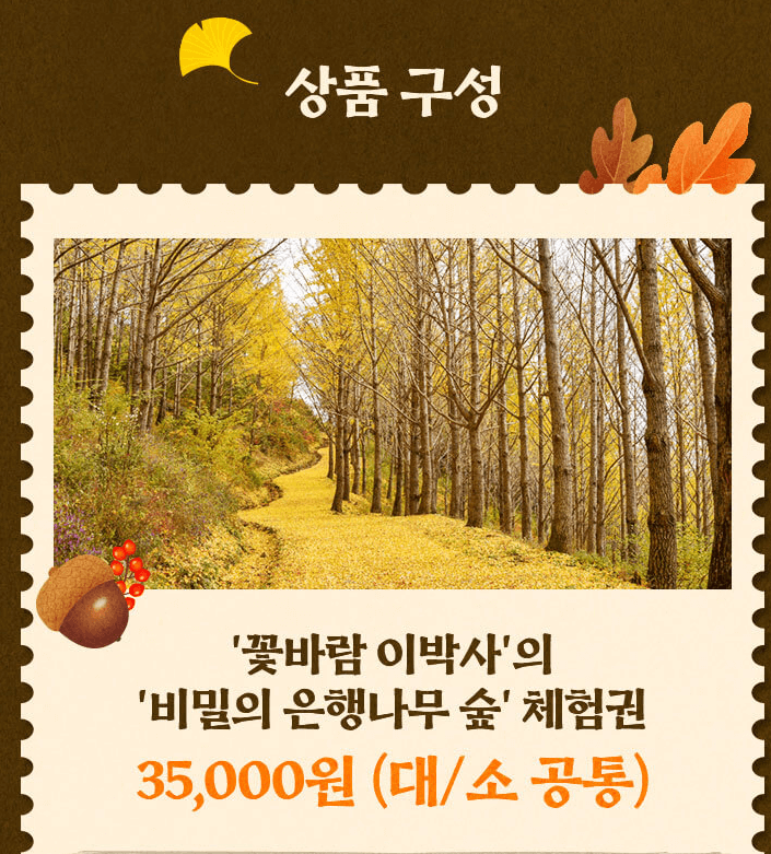  에버랜드 은행나무 숲