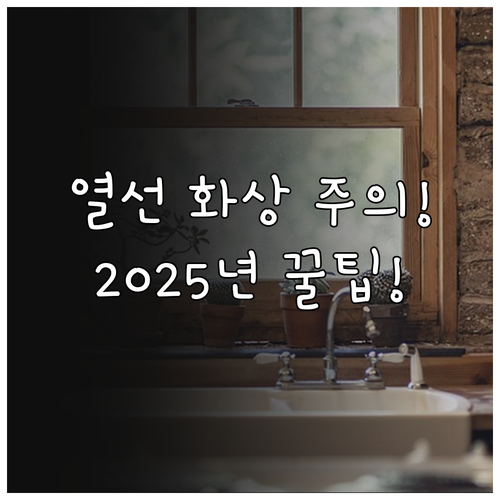 2025년 자동차 열선시트 올바른 사..