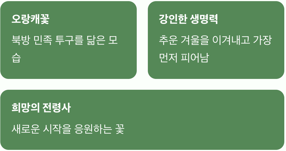 봄을 알리는 작은 거인