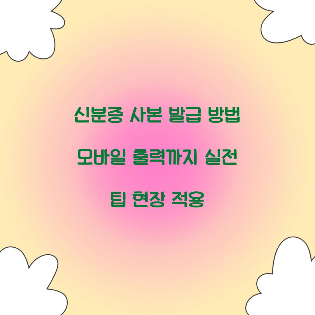 신분증 사본 발급