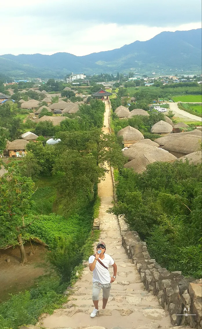 순천 여행코스 추천 순천만습지와 근처 맛집 일정 정리_4
