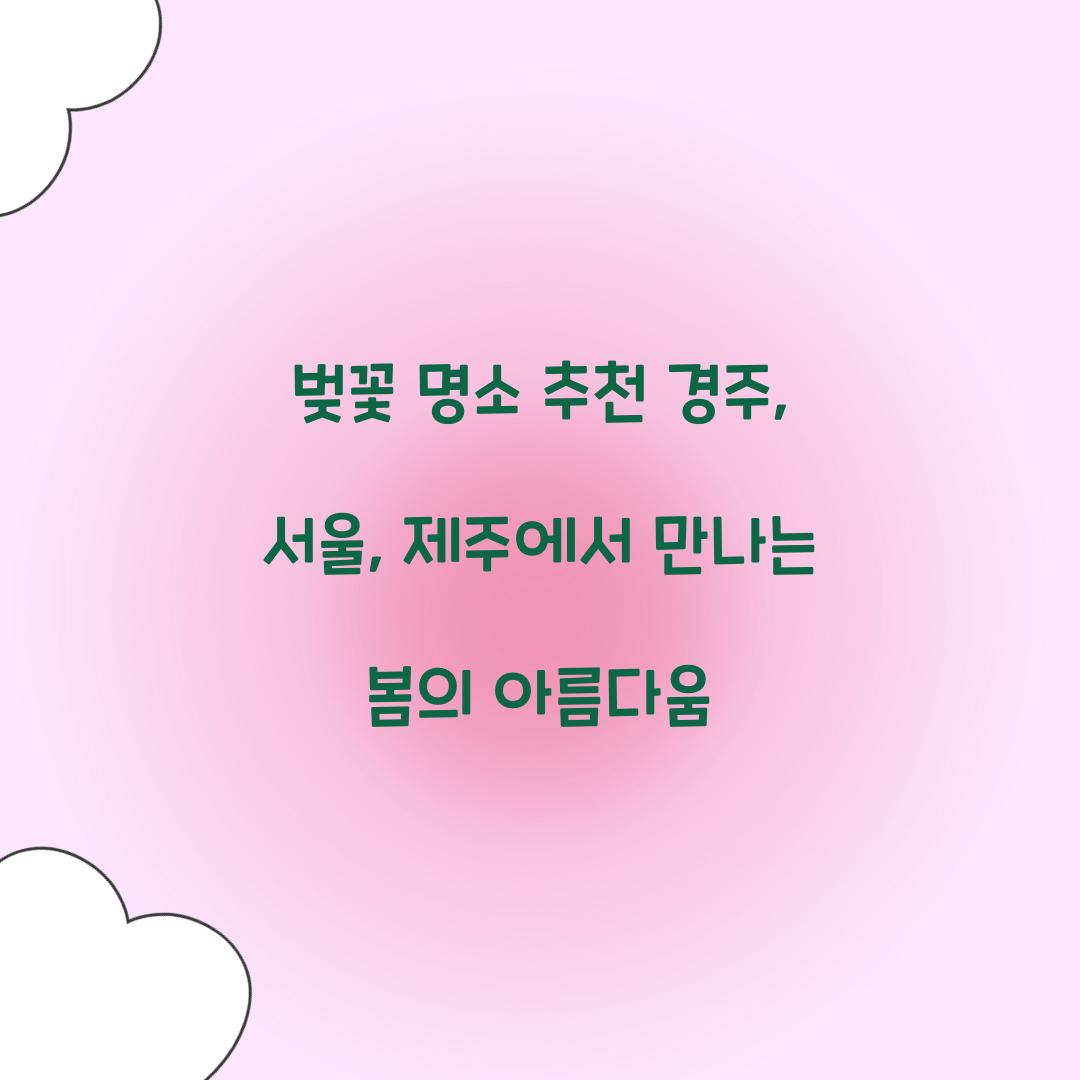 벚꽃 명소 추천