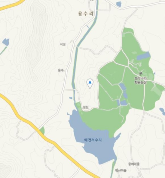 고창 청농원 라벤더 축제