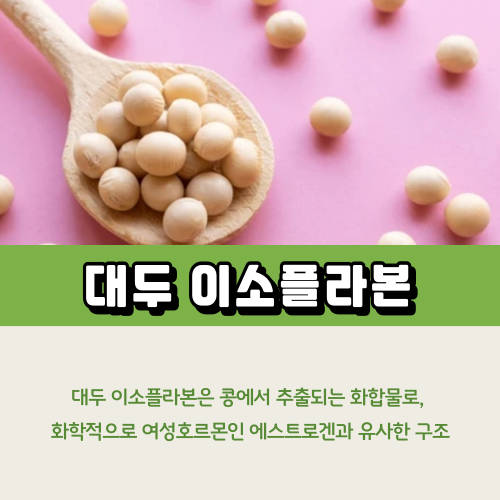 대두 이소플라본